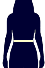 Waist Measurement